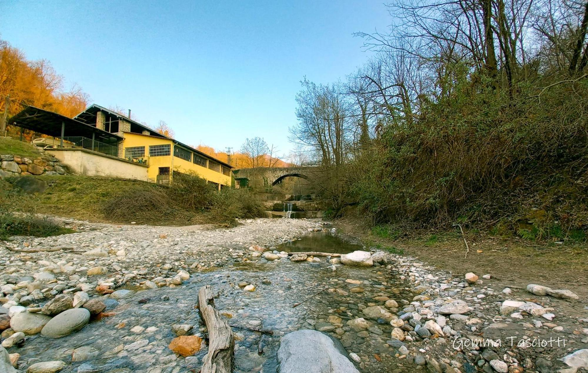 Natura Tra Bosco E Lago Castelveccana Dış mekan fotoğraf